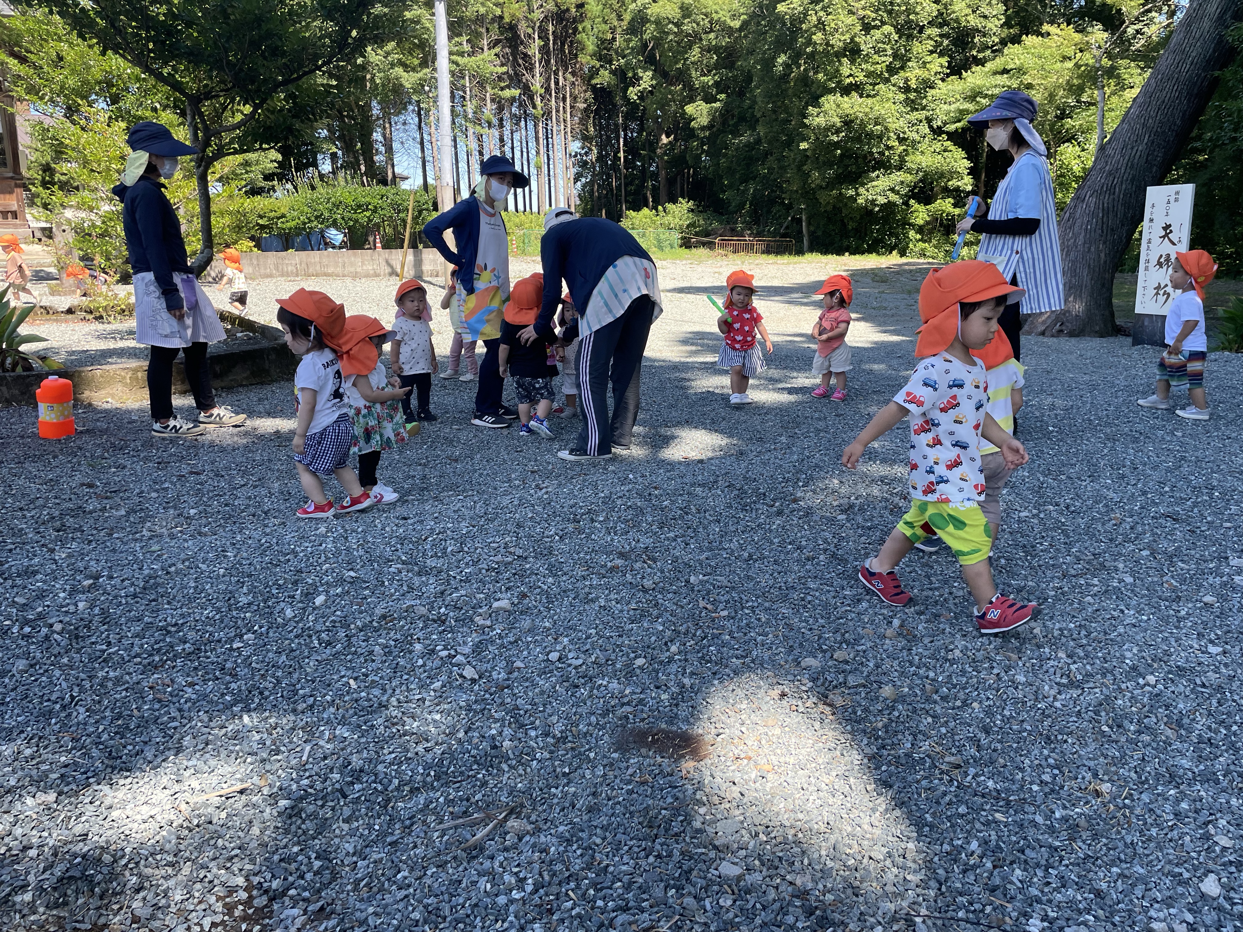 木陰で過ごす夏の時間